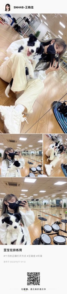 20221017-王晓佳绿洲01