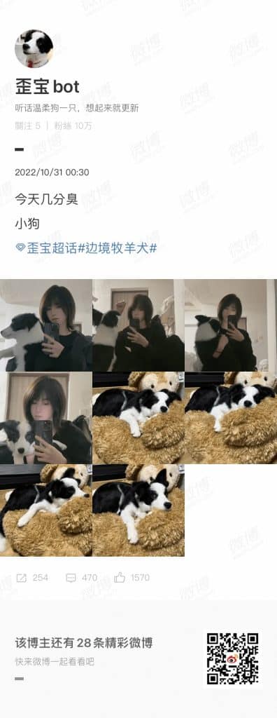 20221031-歪宝微博01