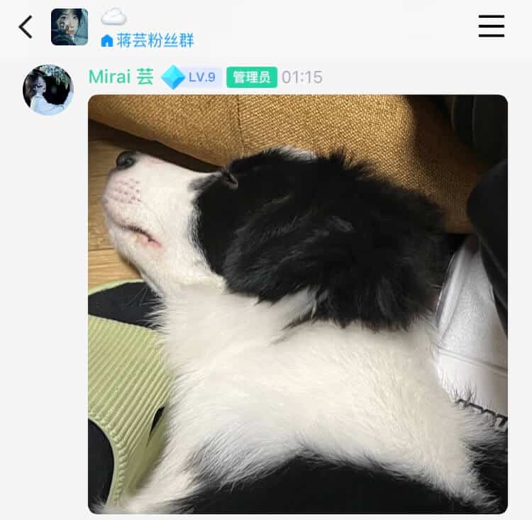 20221110-蒋芸QQ频道01