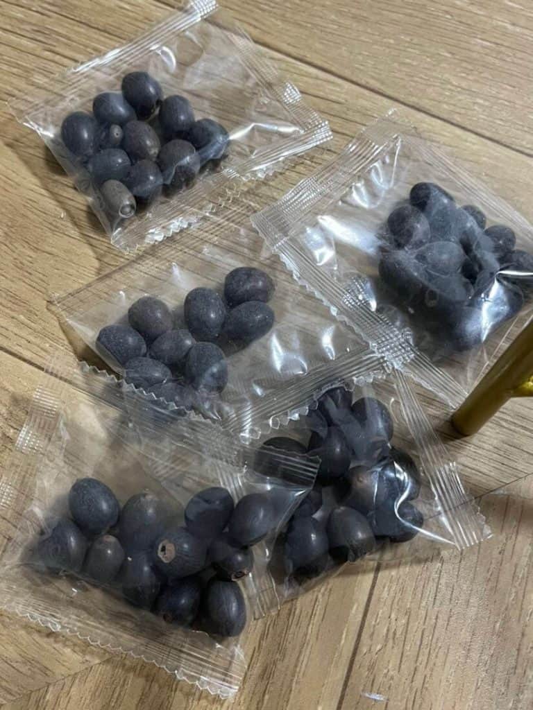 20221215-王晓佳口袋房间0101