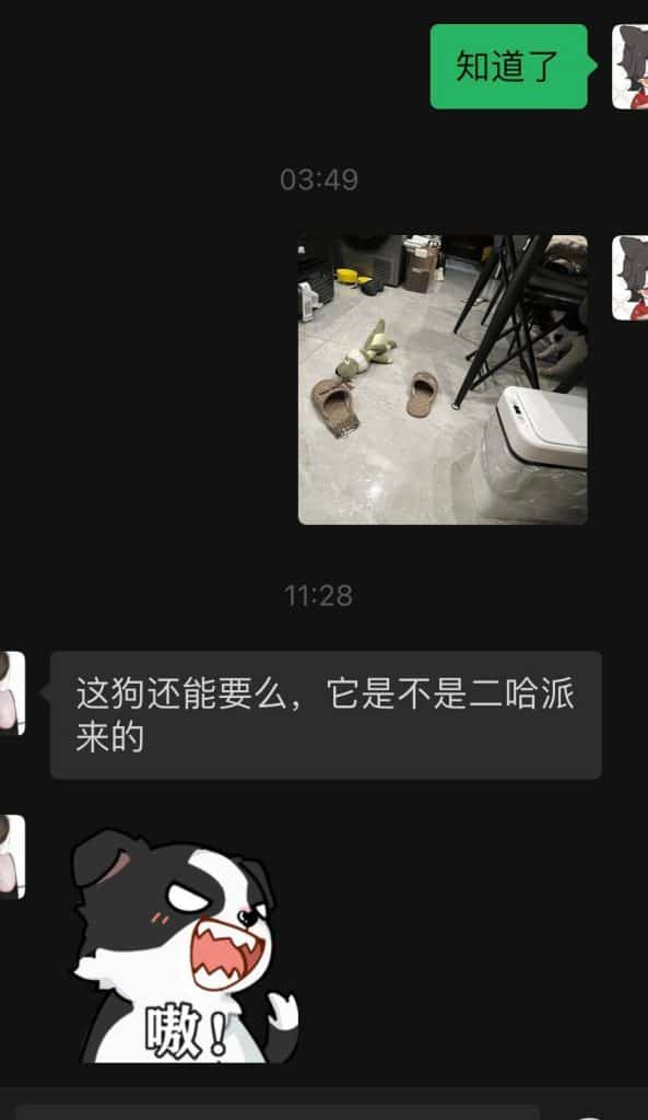 20230128-蒋芸QQ频道0101