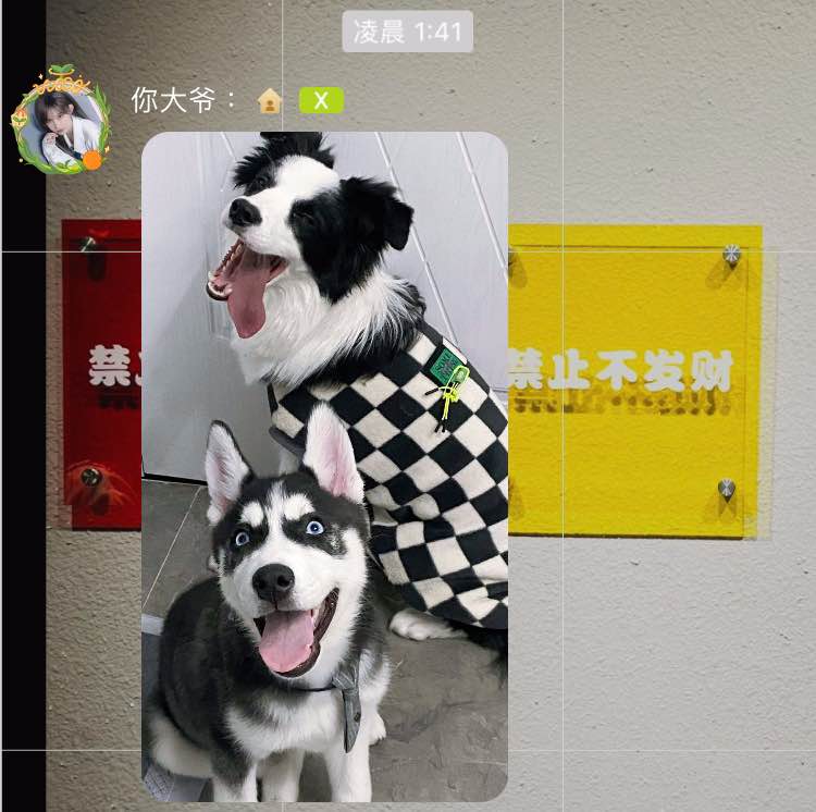 20230131-王晓佳口袋房间01
