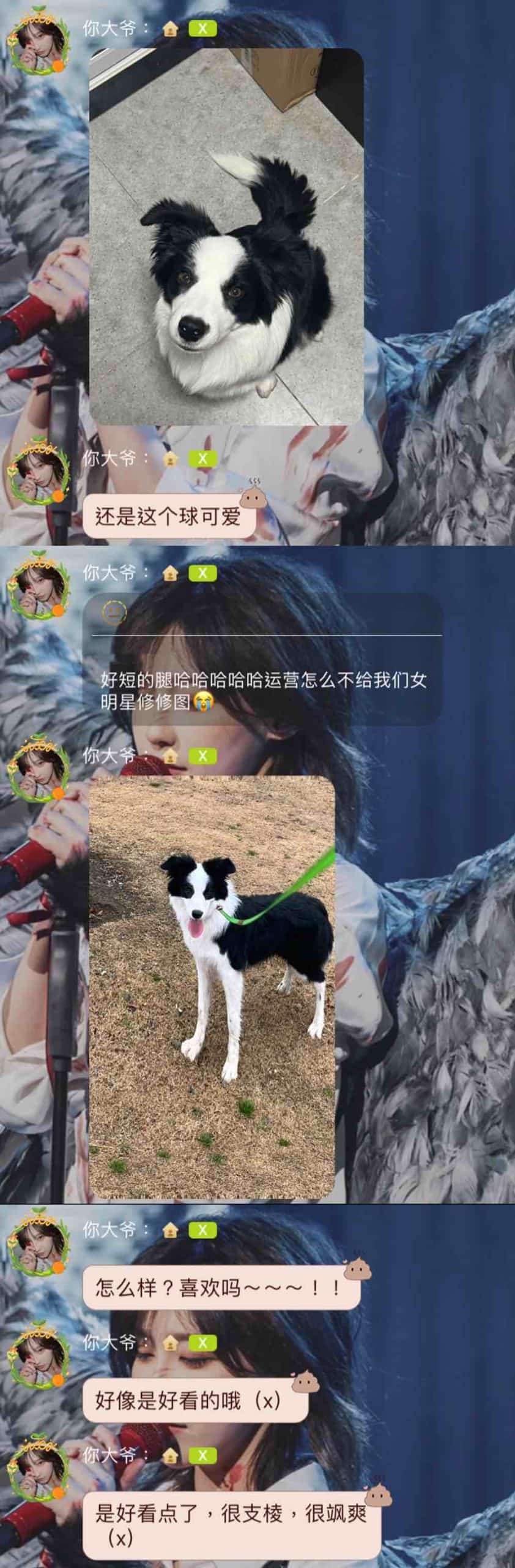 20230209-王晓佳口袋房间03