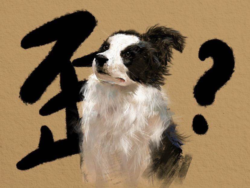 20230329-王晓佳口袋房间0101