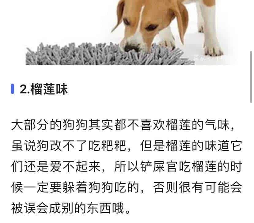 20230515-王晓佳口袋房间0101