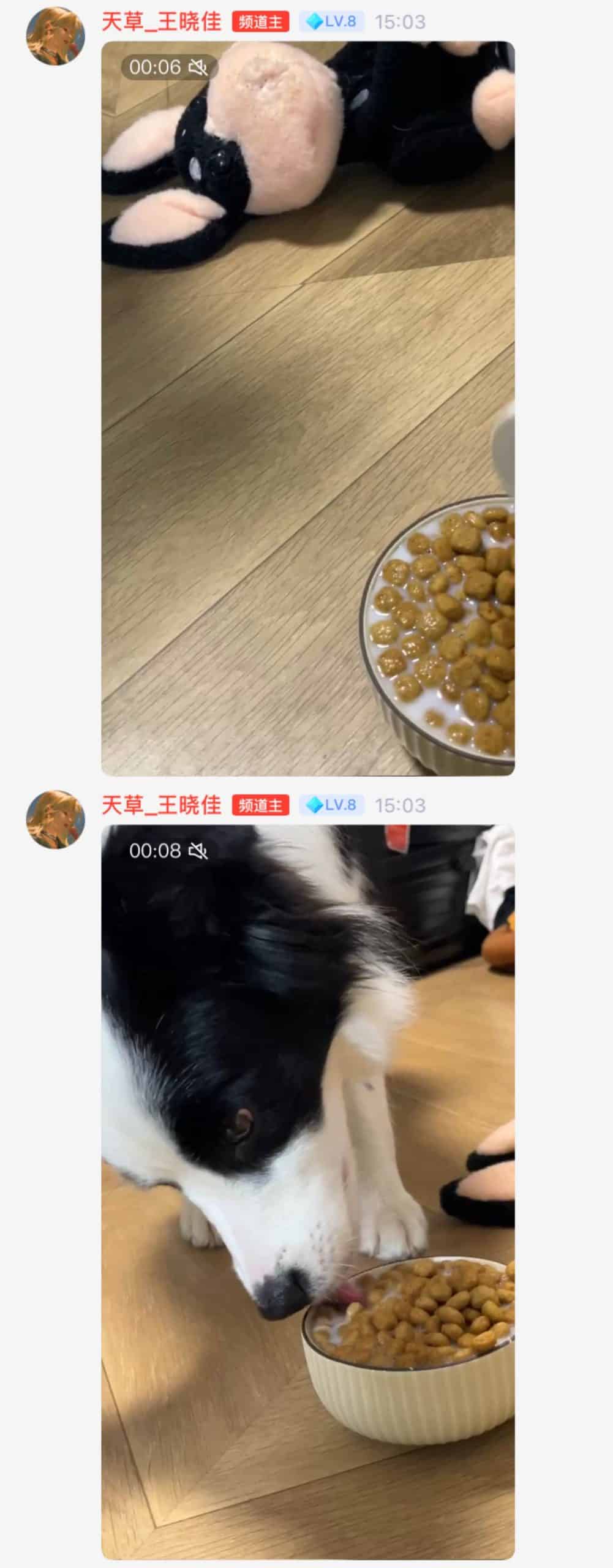 20230601-王晓佳QQ频道02