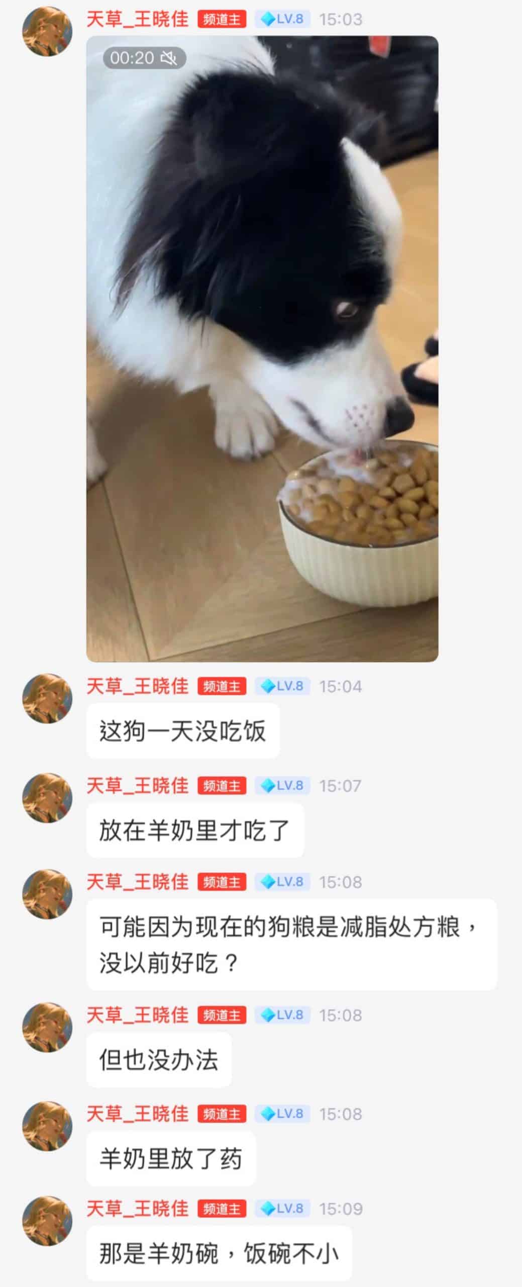 20230601-王晓佳QQ频道03
