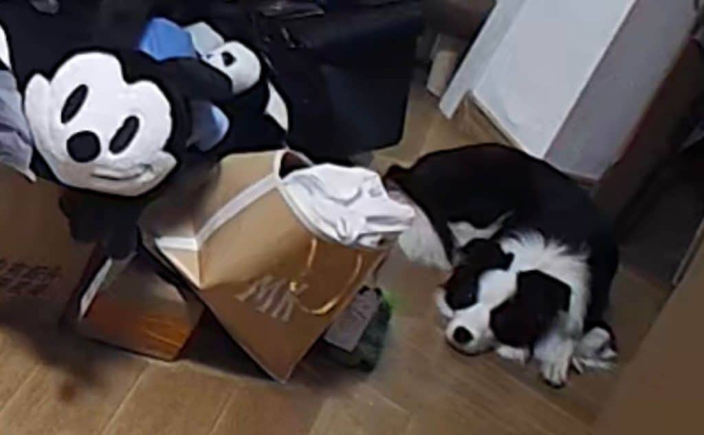 20230610-王晓佳QQ频道0101