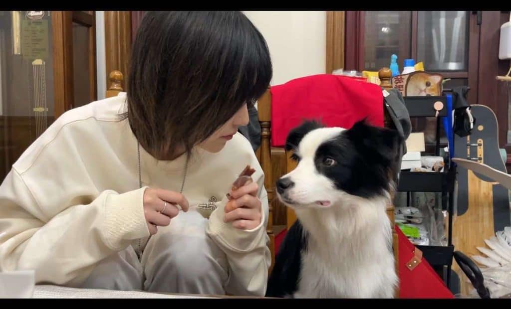 20230915-王晓佳QQ频道0101