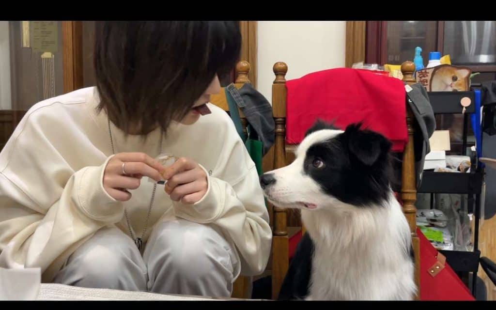 20230915-王晓佳QQ频道0102