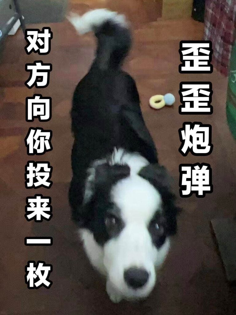 20231230-王晓佳QQ频道0101