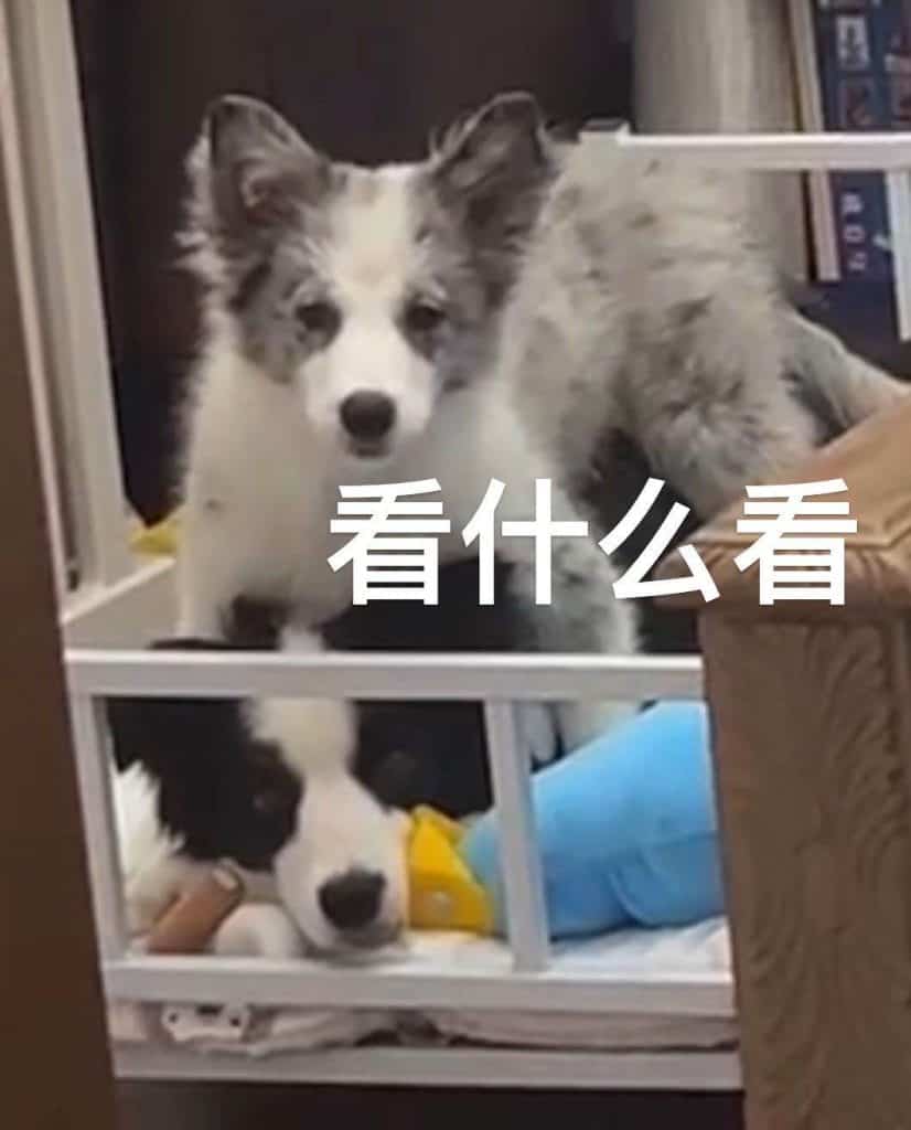 20231230-王晓佳QQ频道0102