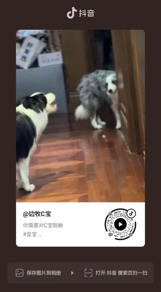 20240517-C宝抖音02